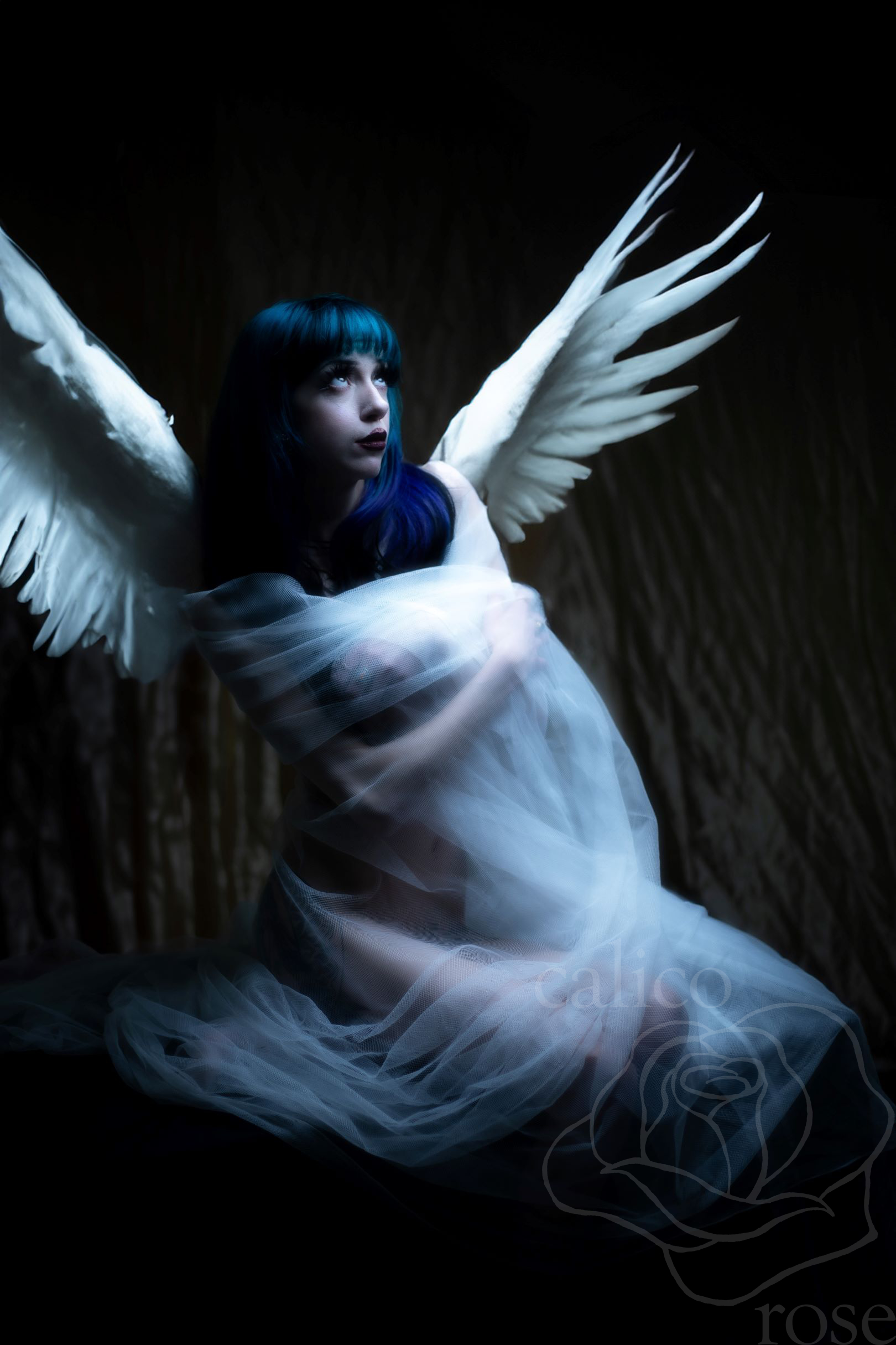 Photo 25