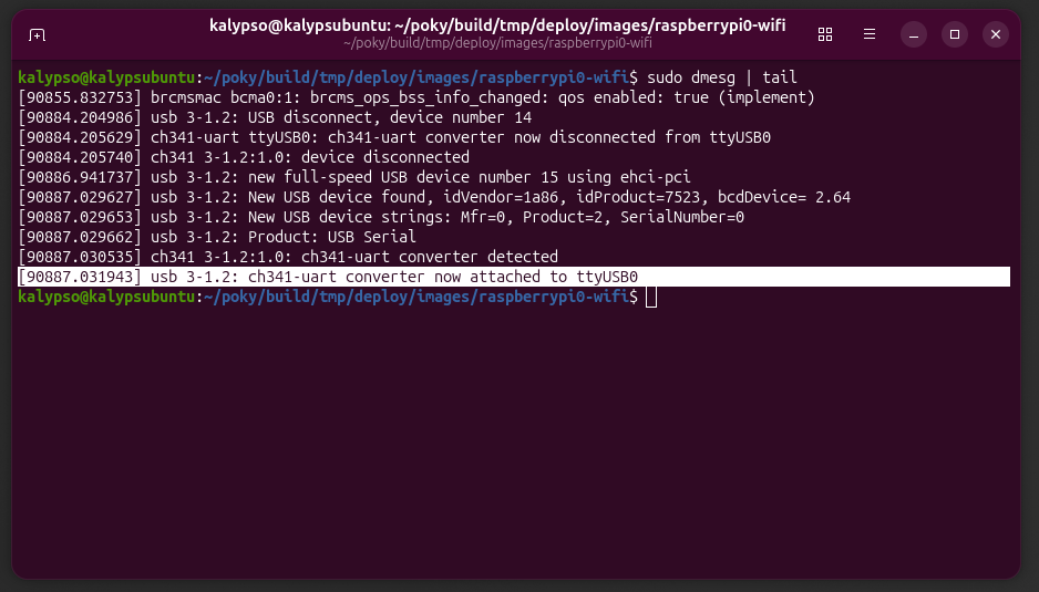 screenshow of terminal sudo dmesg | tail output to show device name.