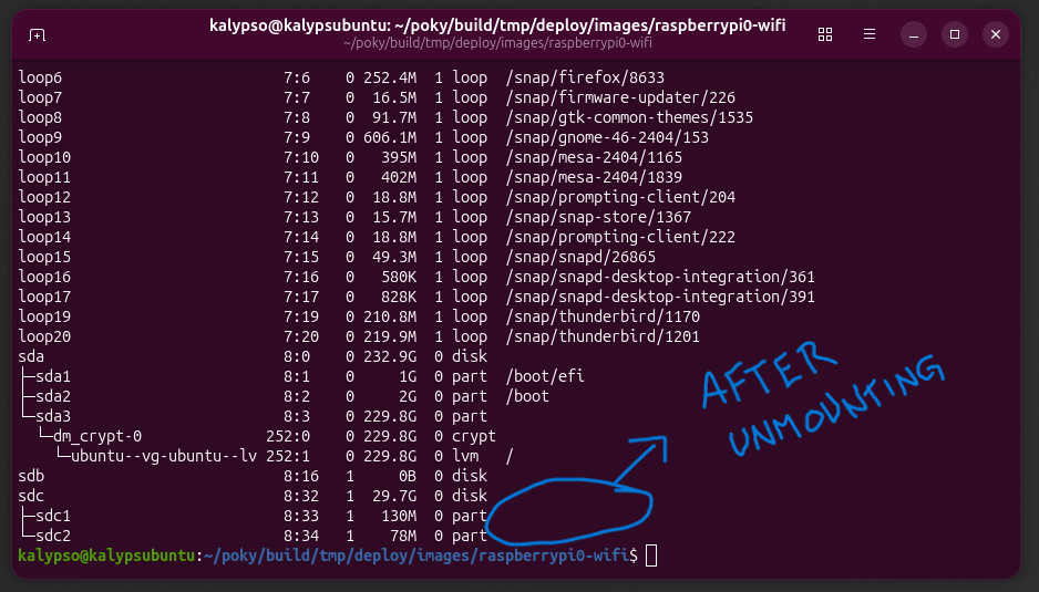 screenshot from linux's terminal showing the output lsblk, after unmounting device.