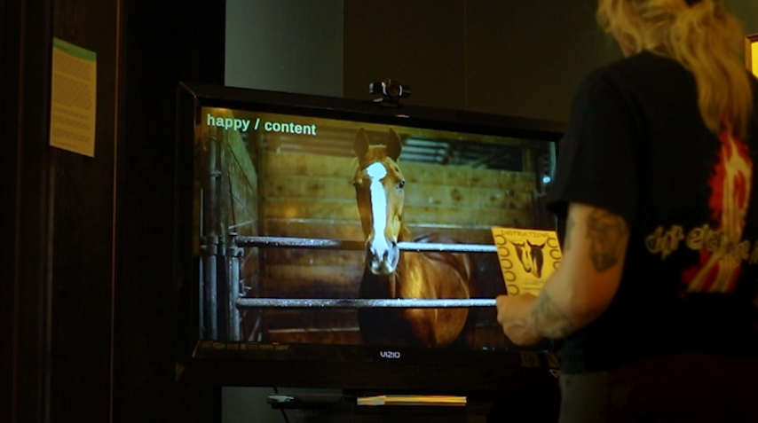 a person holding an instruction card, standing in front of a tv playing a video of a horse.